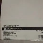Gentamicina en ampula - Img 50618358
