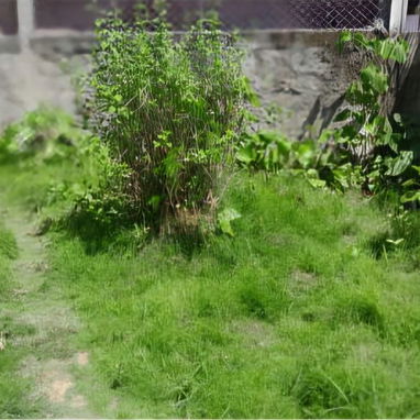 SE VENDE PROPIEDAD CON 2 VIVIENDAS INDEPENDIENTES EN UNA EXCELENTE ZONA EN LA LISA. IDEAL PARA DOS FAMILIAS O INVERSIÓN. - 7/10