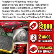 Reparamos y hacemos nuevos los colchones - Img 56878073