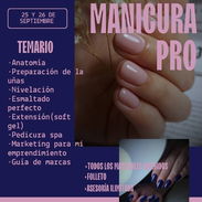 Curso de manicure 21 y 22 de septiembre - Img 57539869