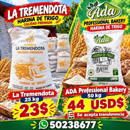 Harina de Trigo - Img 58358891