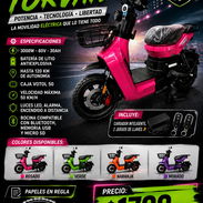 Bicimoto torvan - Img 56619005