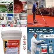 Pinturas para el hogar - Img 55716749