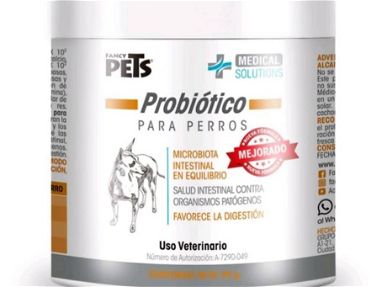 Probióticos para perros - Img main-image
