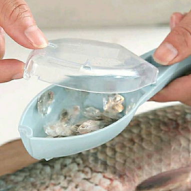 Descamadora Manual para Pescado (CV) - Img 126640320