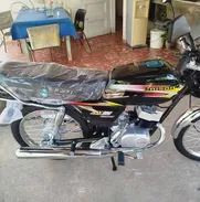 Motos - Img 49788158