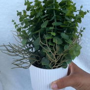 Maceta blanca con planta (Planta decorativa artificial con maceta) - Img 54814892