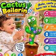 Cactus 🌵 bailarin - Img 58360750