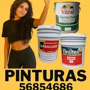 TODO EN PINTURA VINIL ANTIHUMEDAD ESMALTE SINTÉTICO IMPERMEABILIZANTE ENGOMADO Y TRANSITABLE Y ACEITE MATE - Img 50412750