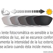 Pro-Vision - Img 56616502