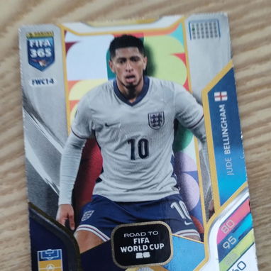 Cartas panini adrenalyn - Img 122555825