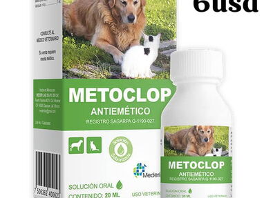 Metoclopamida-control náuseas y vómitos en perros y gatos- - Img main-image