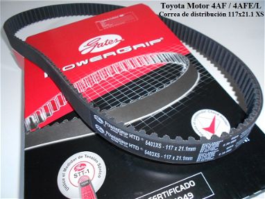 Correa de distribución medida 117x21.1 mm XS para Toyota Corolla 1.6 16v (4AF o 4AFE/L). - Img 64415872