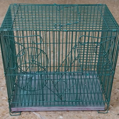 Variedad de hamster( pequeños y grandes). Jaulas. Pienso. Comederos. Ruedas - Img 117571069
