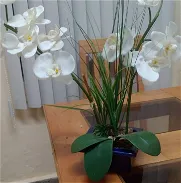 Adorns floral de orquideas blancas. Parece natural. Para todo tipo de decoración - Img 45744668