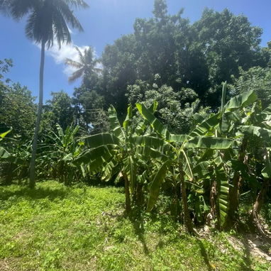 Venta de finca en el municipio boyeros - 10/10
