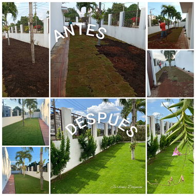 CREAMOS Y DISEÑAMOS JARDINES CON CÉSPED, PLANTAS, PIEDRAS DECORATIVAS, MACETAS Y TODO LO QUE USTED DESEE. JARDINEROS - Img 106930026