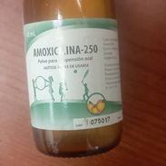 Amoxicilina en suspension - Img 56293392
