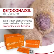 Ketoconazol en tableta para perros y gatos - Img 53918522