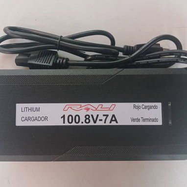 Cargador para moto electrica y triciclo - 9/10