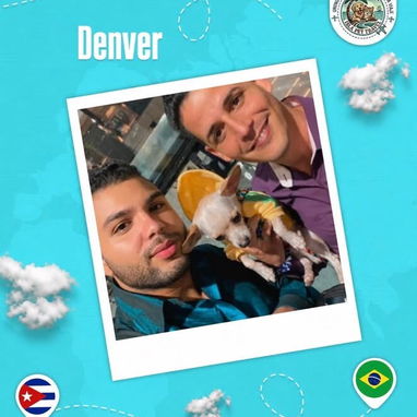 Agencia de viaje internacional de mascota - 3/10