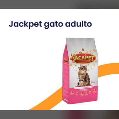COMIDA PARA PERROS Y GATOS - Img 122090008