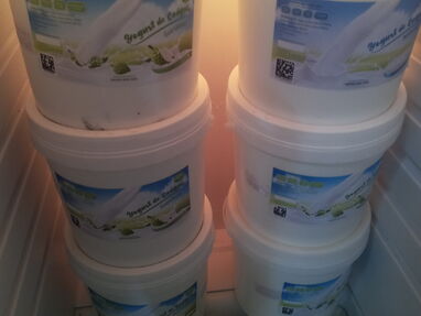 Yogurt probiótico de coágulo. Helado con frutos secos y cobertura. Mantequilla - Img 66438922