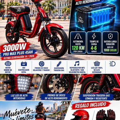 Venta de vehículos electrónicos y de gasolina: - 3/8