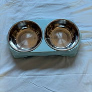 Comederos dobles para gatos - Img 53534855