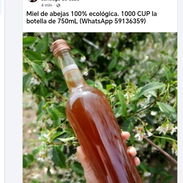Miel de abejas - Img 54999649