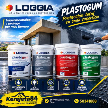 Impermeabilizante Plastogum - 2/4