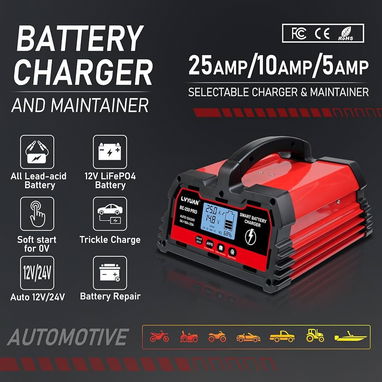 Tunder Cargador inteligente BaterÃa Lifepo4 12V/24V - 25 Ah - Img 114960076