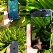iPhone 11 - Img 57506100