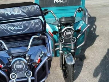 Triciclo Rali de carga de 1200w - Img main-image