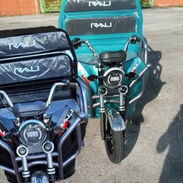Triciclo Rali de carga - Img 45258937