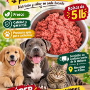 Comida para perros pollo molido - Img 58157976