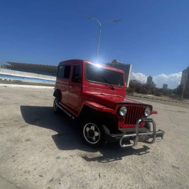 Jeep Willy techo duro - 2/3