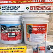 Pintura vinil aceite impermeable pintura para piscina y más todo sellado con tramporte incluido 51177998 - Img 56900462