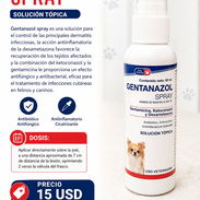 Gentanazol en spray para perros con dermatitis infecciosa - Img 55027749