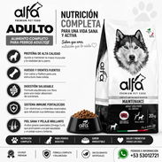 Pienso Premium Alfa - Img 57781924
