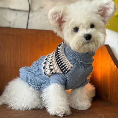 Suéter Tejido de cuello alto para Mascotas Talla XS - 4/4