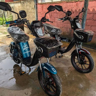 Se vende Bisimoto Grillo - Img 124582724