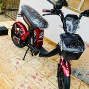Bicimoto grillo 2026 - Img 55873715
