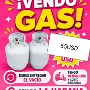 Gas licuado. Pinturas para casas - Img 55781378