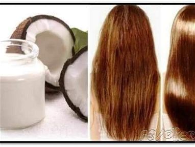 Aceite de coco 100% natural, la base de todo tratamiento de belleza, no se pierda la oportunidad de obtener su Frasco - Img main-image-45652247
