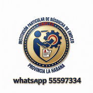 Empleo - Img 54845347