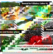 Rent house in Viñales, Pinar del Rio, Cuba🇨🇺🌄🐎 - Img 49530352