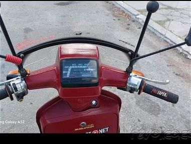 Oferta Exclusiva  Honda Scoopy SH75, la joya de las scooters en Cuba. Una inversión en distinción y rendimiento superior - Img 68748864