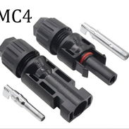 MC4 - Img 56510045