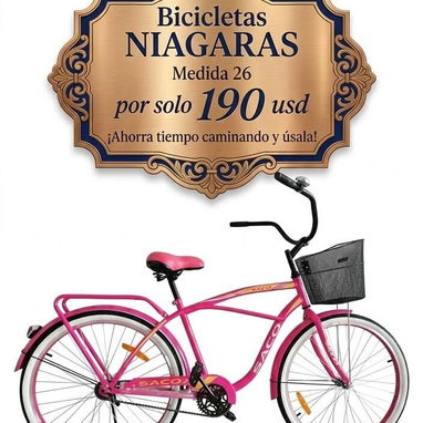 Bicicletas tipo niagaras - 2/4